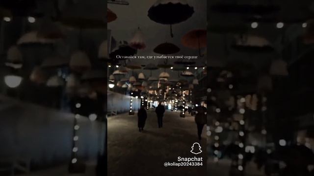 🎶✨⚜️