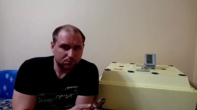 Овоскопирование яиц. Минусы инкубатора. Почему не оплод.