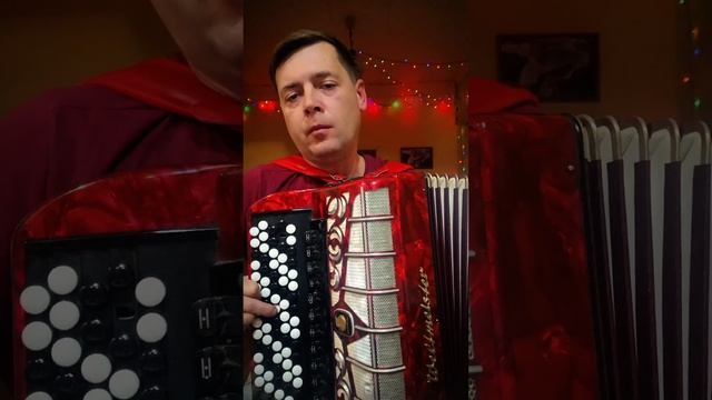 Падал снег М Круг на баяне