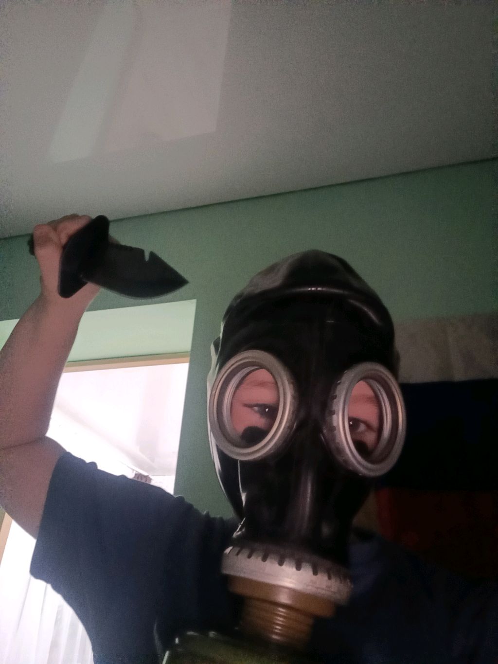 пакатушки
