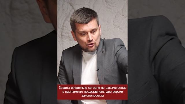 Защита животных: сегодня на рассмотрение парламента представлены две версии закона