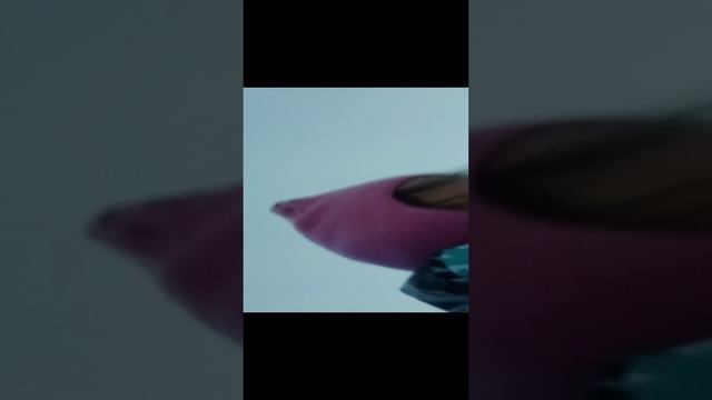 первый снег третья часть