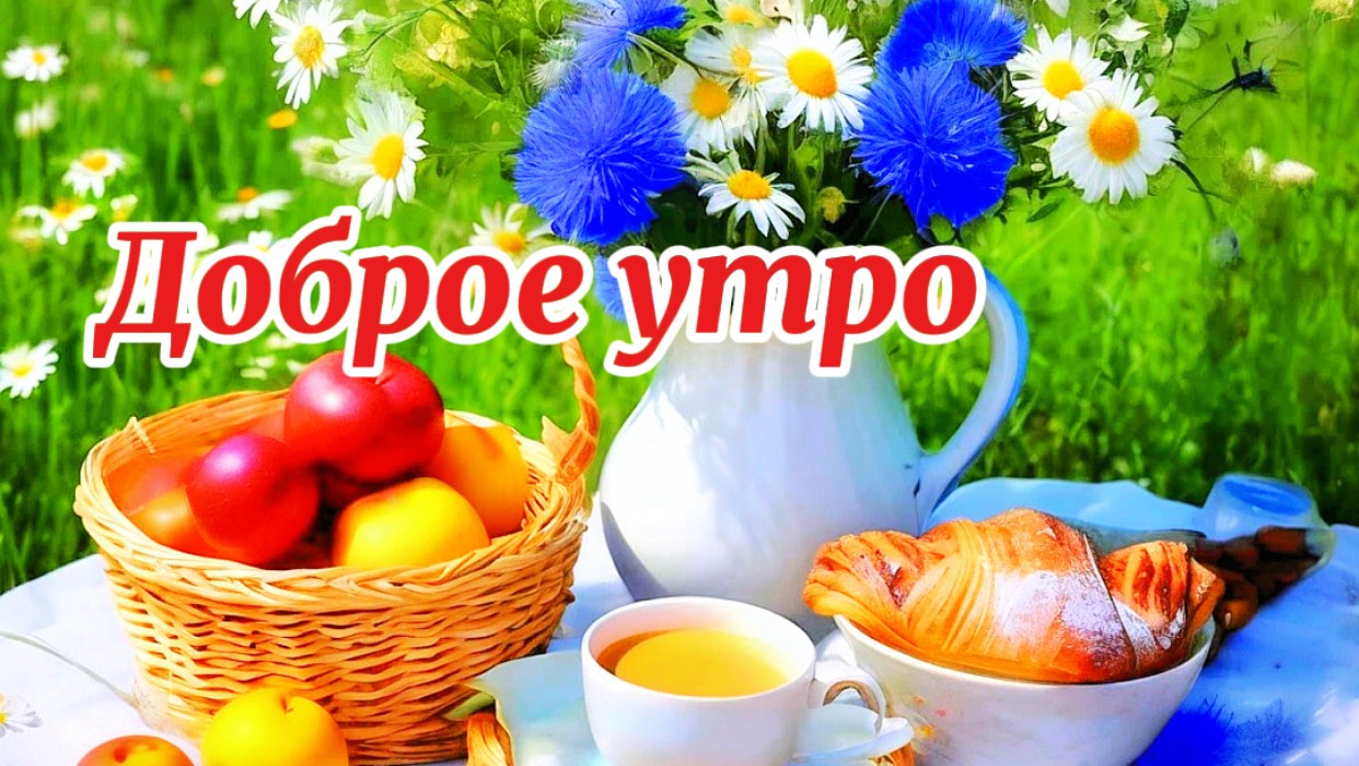 Утро доброе! Хорошего дня