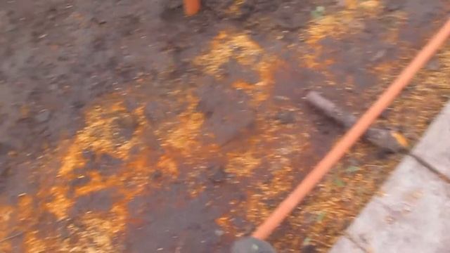 Виноградник Шаламова Николая сезон 2017 часть V