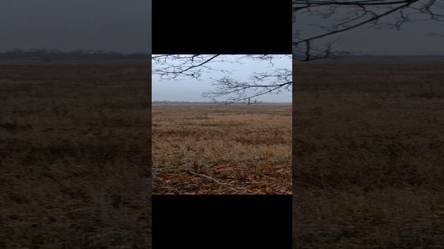 ОСЕНЬ. #ДОНБАСС