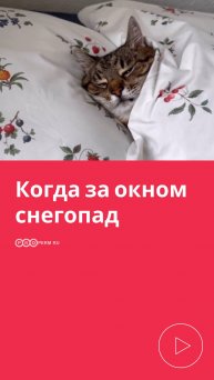 КОГДА ЗА ОКНОМ СНЕГОПАД