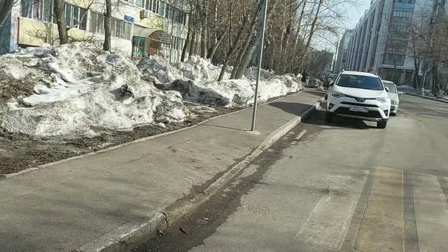 Один тротуар для собак Жилищник на газоне уже положил___ второй пока не удалось