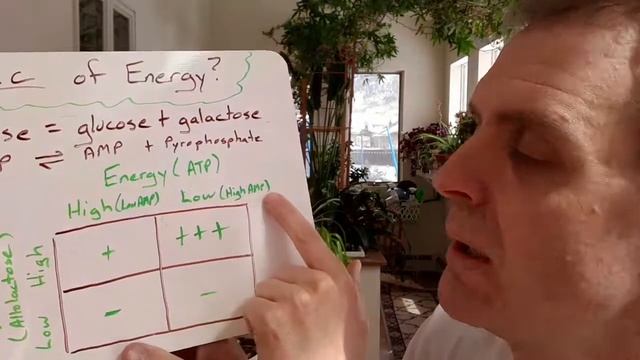 Thinking Through the lac Operon