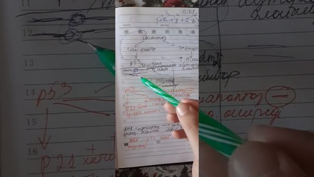 апоптоз