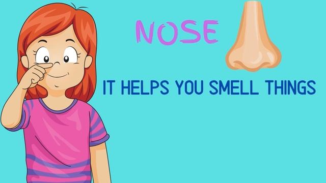 The Five Senses for Kids -Sight, Sound, Smell, Taste, and Touch|Educational Videos for Toddler