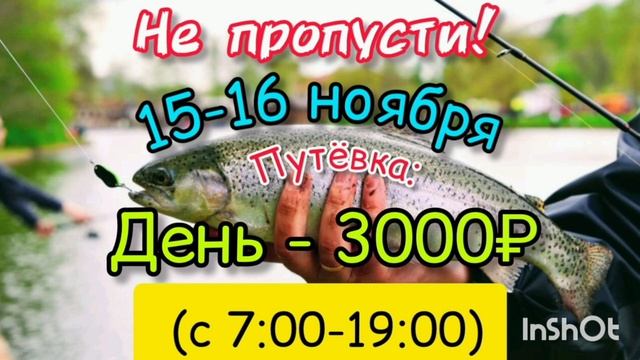 1000032646.mp4