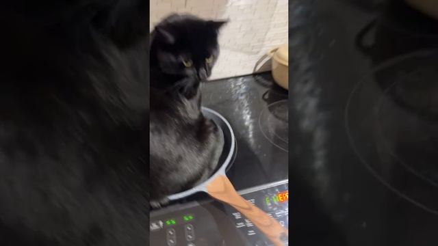 Немного подогрел