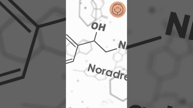 Understanding Hypertension: How Beta-Blockers can help lower blood pressure PART 1