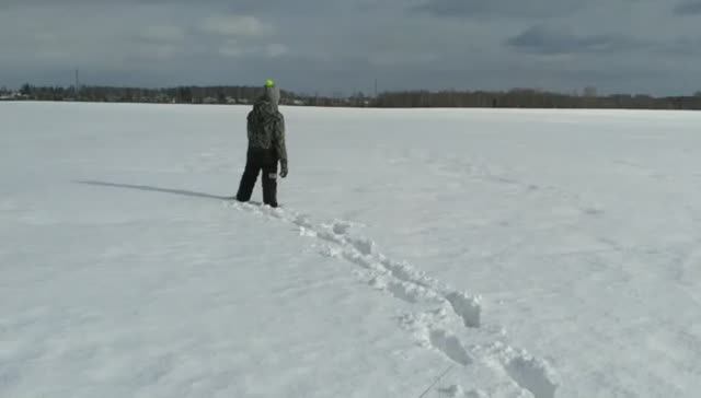 Дачная жизнь_ Поле, Русское поле.