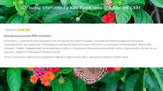 Отзывы Smmapp.ru как привлечь трафик на сайт