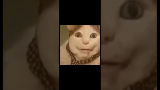 lv_0_20241101212839.mp4
