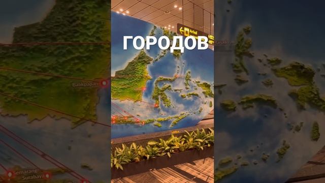 Карта в аэропорту Сингапур ! Можно посмотреть хоть куда летишь если в географии слабовато 😅