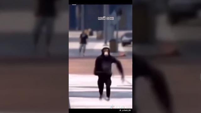 ba081620d032785b3a3388fcac2d5fe5_1731386535630.mp4