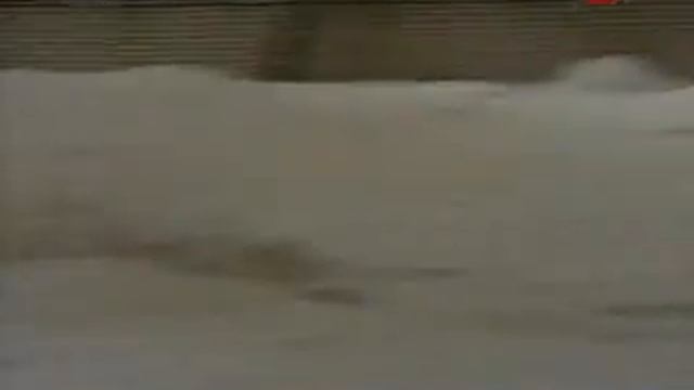 Тело человека  Нервная система