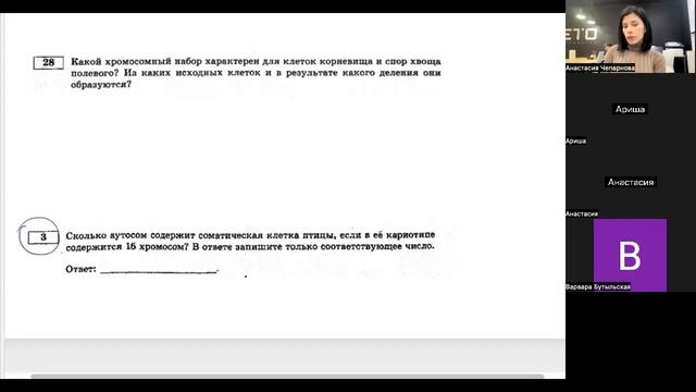 20.02 4 гр егэ деление клетки