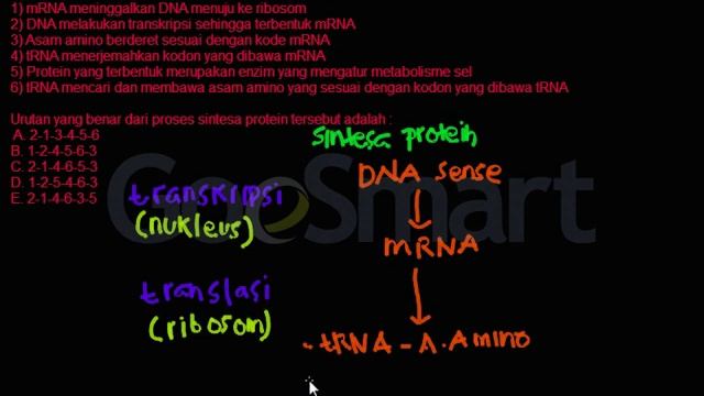 Biologi - Proses Sintesa Protein (pembahasan soal UN SMA)