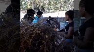AWA UNIPA ENTRENAMIENTO EN DESTILADO