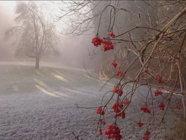 Сменяется снежной пора золотая. Музыка - "Tombe La Neige".