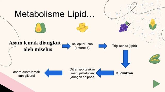 METABOLISME KARBOHIDRAT, PROTEIN, LEMAK, PURIN & PIRIMIDIN