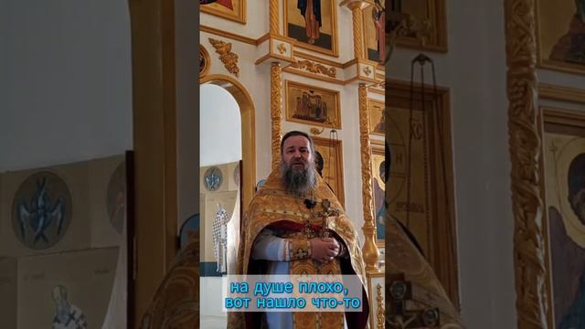 Пей ромашку с чаем!