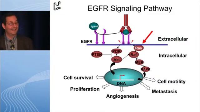 Personalizing Therapy for CRC - Hecht