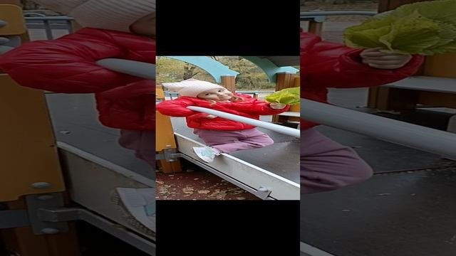 София,3,5года