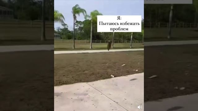Я и мои проблемы 😂😁😁