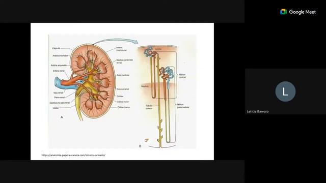 PEP 2023 - IV Encontro - Legislação e Normas em Radiologia RDC 611/2022