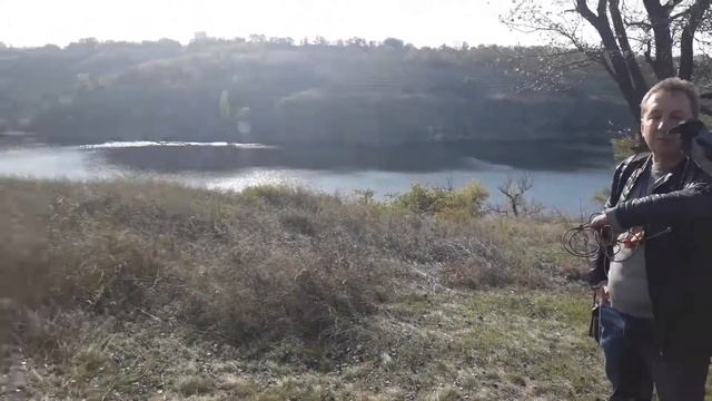Прогулки с вороной Кусей по острову
