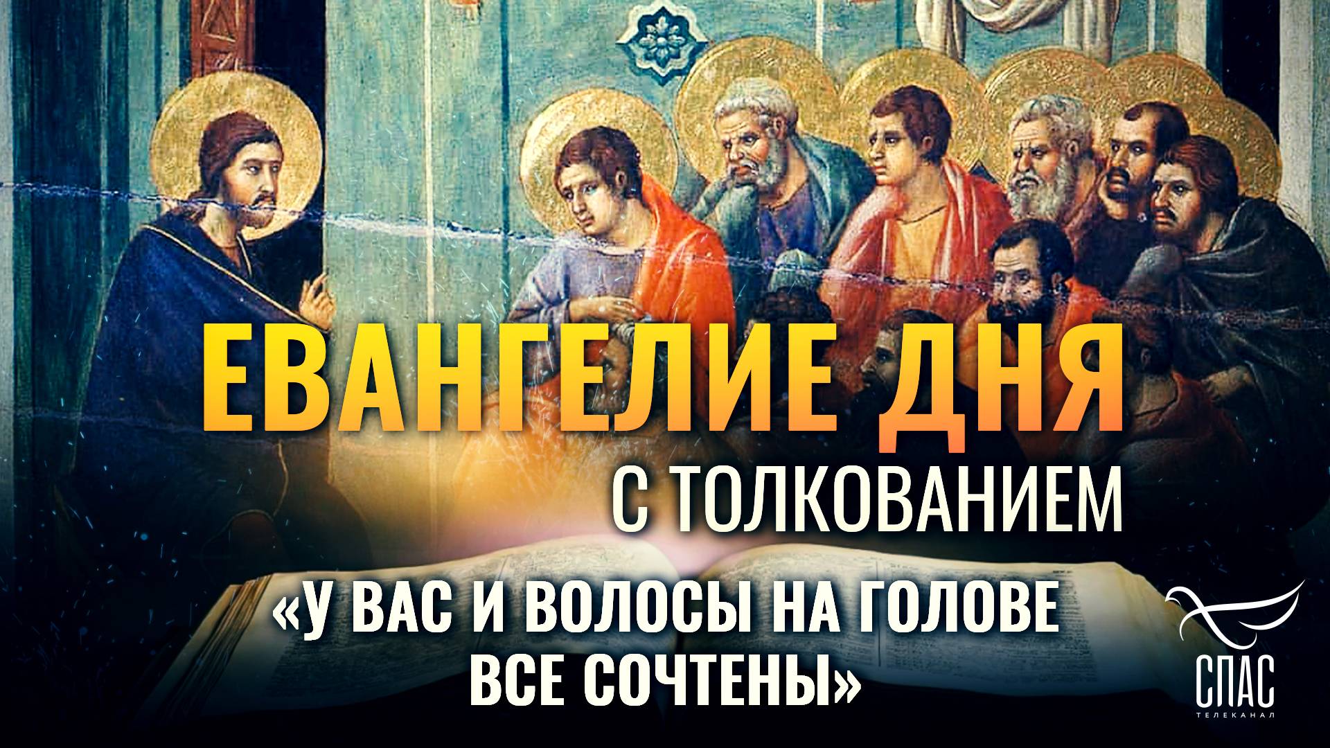 «У ВАС И ВОЛОСЫ НА ГОЛОВЕ ВСЕ СОЧТЕНЫ» / ЕВАНГЕЛИЕ ДНЯ