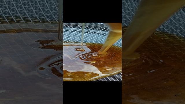 1000012079.mp4
