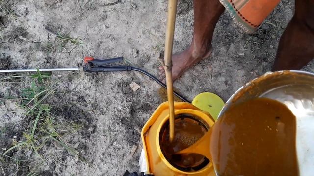 How to make Organic Pesticide using Waste Decomposer at Home for Plants