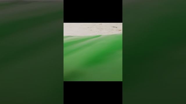 пьяный папа моей сестры