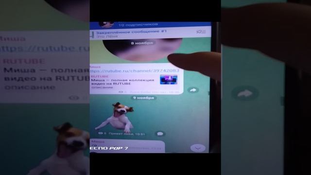 VID_20241113_164049.mp4