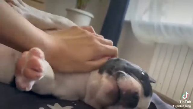 Ласковое видео!