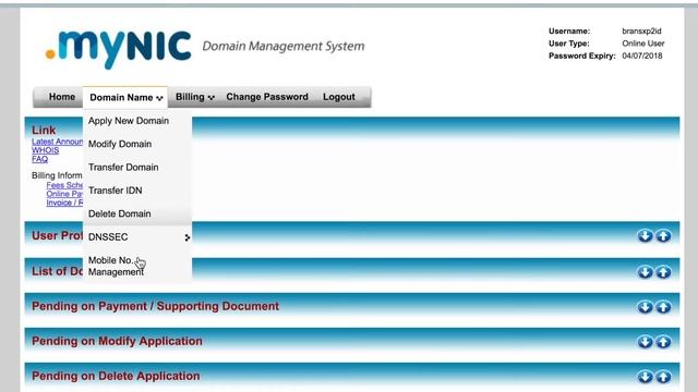 MYNIC Selfcare - Cara Pengurusan DNS