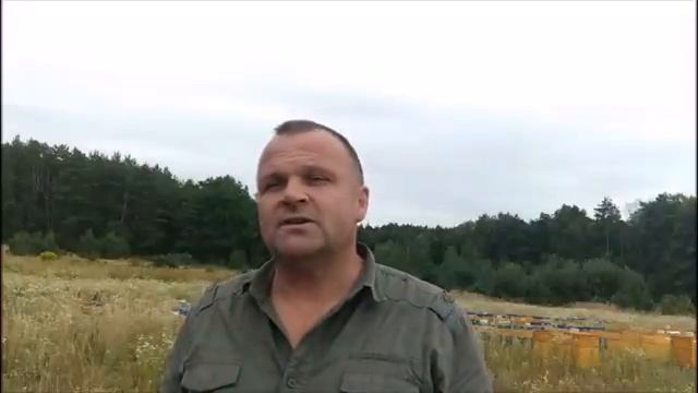 Ціна на мед