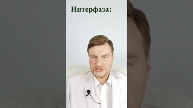 6 цикл
