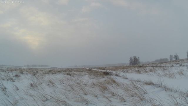 охота на зайца.