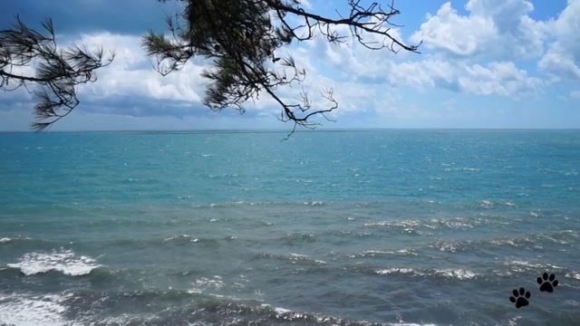 Море после шторма. Смотровая где то на сочинском серпантине.