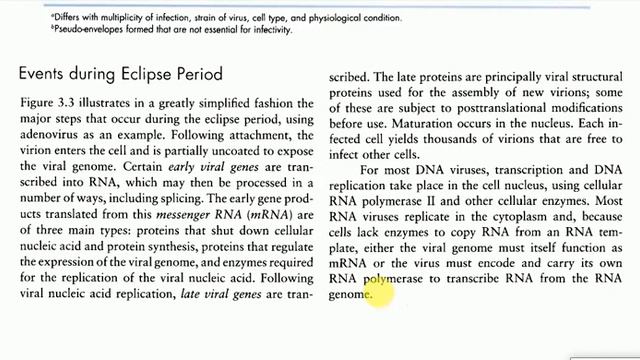 Viral Replication