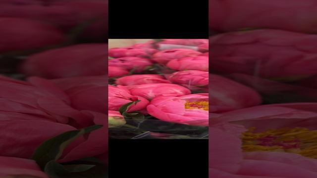 14-11-2024
