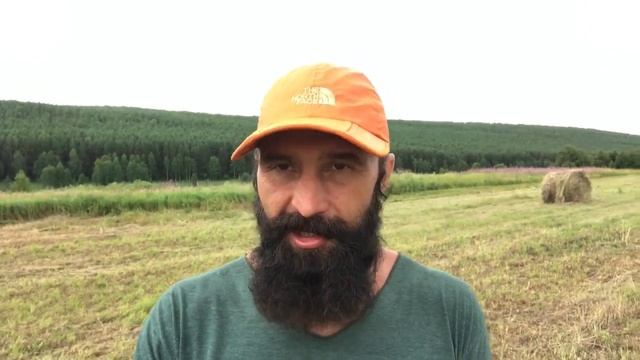 17 - 3 Секрета Здоровья Успеха и Равновесия Зачем лезть в психологию