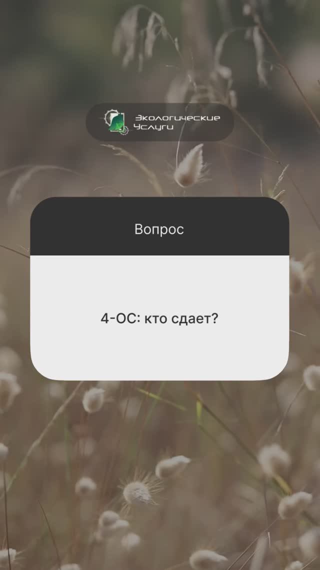 4-ОС: кто сдает?

#экология #эколог #отчет #4ос