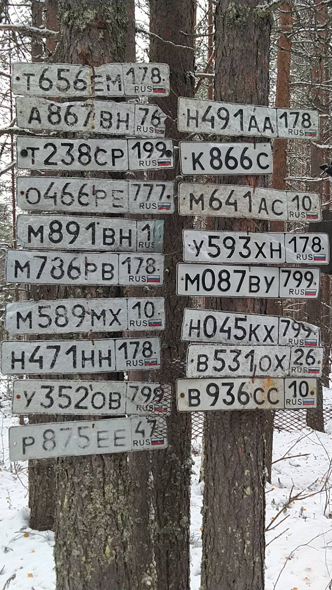 Дорога на Воттовару. 2 мая 2019 года